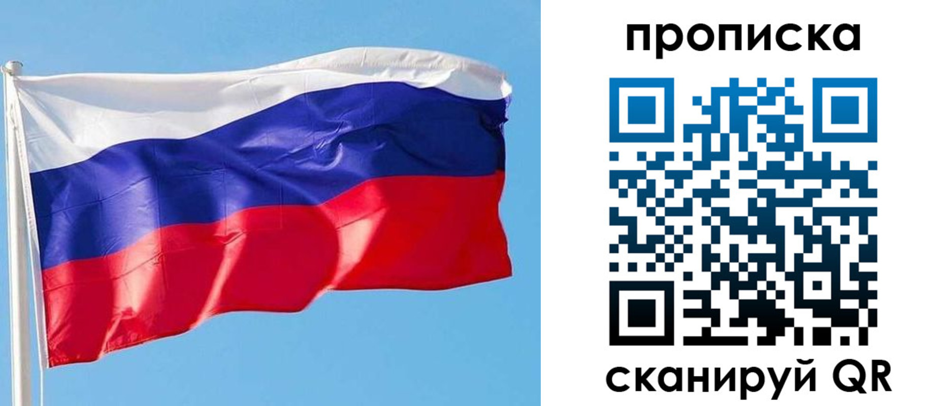 прописка поиск в Палласовке